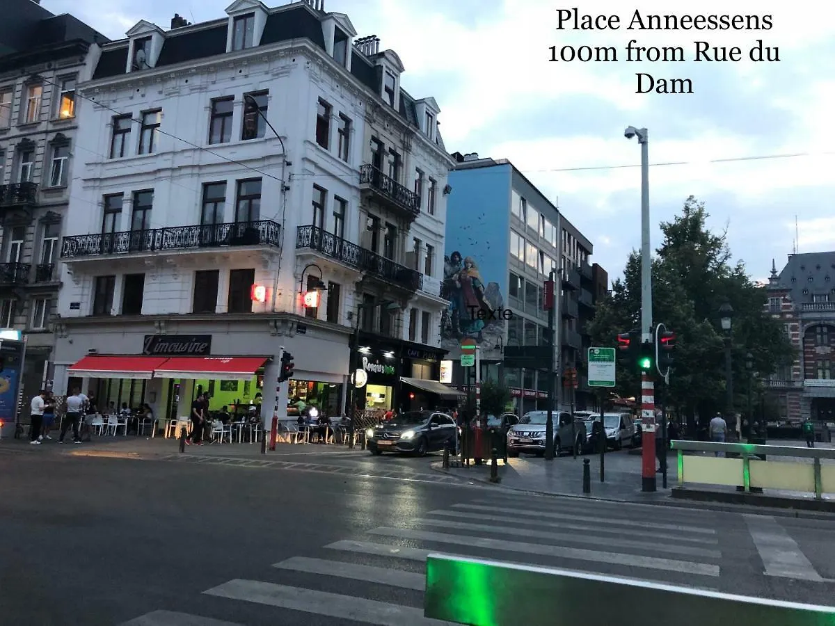 La Petite Louve Apartment Brussels